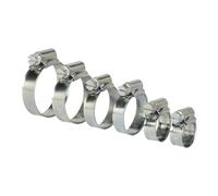 Sealey SHCS1 Tubo Clip Assortimento 30pc Ø8-29mm Zincato