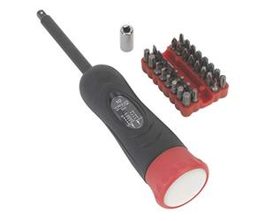 Sealey STS100 - Set di 34 pezzi con cacciavite dinamometrico 2-10 nm, attacco quadrato da 1/4 di pollice e punte intercambiabili