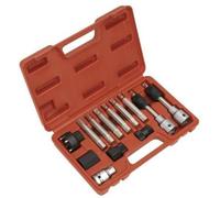 Sealey Alternatore Ruota Libera Set Rimozione 13pc SX401