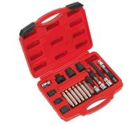Sealey Alternatore Ruota Libera Puleggia Set Rimozione 18pc SX402