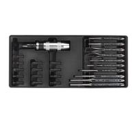 Sealey TBT18 Attrezzo Vassoio Con Punzone E Impact Driver Set 25pc