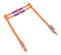 Sealey Vincolo Giù - Moto Ruota Posteriore TDMCRW