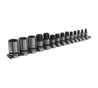 Sealey Torx Star Presa Set 14pc 0.6cm 1cm & 1.3cmSq Drive E4-E24 Nero AK618B