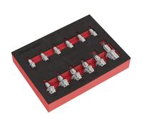 Sealey Trx-Star Presa Set di Punte 12pc Stubby 0.6cm, 1cm & 1.3cmSq Guida AK6245