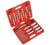 Sealey VS0331 Montante Ammortizzatore Kit Dado 18pc