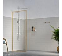 Sealskin Contour parete doccia walk-in 100 cm oro spazzolata/vetro trasparente CDA30986495100