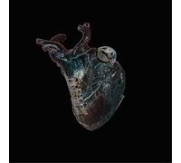 Seamus Blake Guardians of the Heart Machine (Vinyl LP) 12" Album