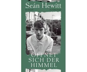 Seán Hew Öffnet sich der Himmel: Roman Würde ich all (Copertina rigida)