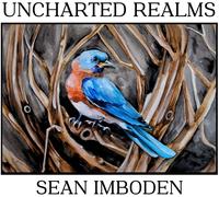 Sean Imboden Uncharted Realms (CD)