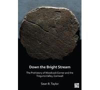 Sean R. Taylor Down the Bright Stream: The Prehistory of Woodcock Co (Tascabile)