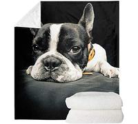 SEANATIVE - Coperta in peluche con stampa 3D con bulldog francese, super morbida, per letto TV, coperta sfocata, confortevole, calda, resistente, in flanella, 3XL