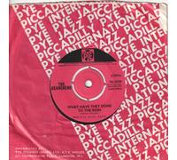 SEARCHERS - WHAT HAVE THEY DONE TO THE RAIN 7in (32159)