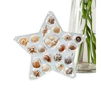 Seashell Holder Display Box, Acrylic Shell Collection Organizer, Starfish Shark Tooth Storage Case for Girlfriend Women Girls Rings Ear Studs Living Room Bedroom Desktop Jewelry Decoration Use
