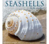 Seashells 2027 Wall