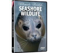 Seashore Wildlife - Seashore Wildlife