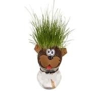 Seaside No.64 - Divertenti teste di erba con contenitore d'acqua - Esperimento di piante fai-da-te per bambini - Semi di erba che crescono come capelli - Divertimento creativo e carina idea decorativa