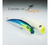 Coixedda 100 Seaspin