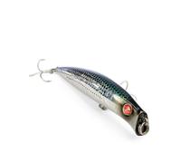 Coixedda 100 Seaspin