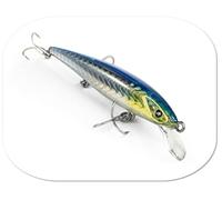SEASPIN EJA 100 - LUNGHEZZA (MM): 100, PESO (GR): 10, COLORE: SARXXX