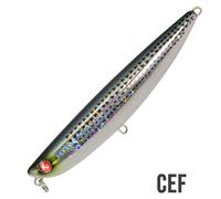 SEASPIN PRO Q 120 FLAT ARTIFICIALE PESCA SPINNING WTD SPIGOLA ESCA POPPER PRO-Q