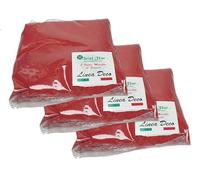 Seat Flor srl® Sabbia colorata, sabbia per decorazione vasi 0,5 mm sacchetto da 3 kg ca. (25 colori disponibili) (Rosso)