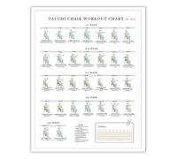 Seated Tai Chi Workout Chart Tai Chi Poses Guide for Home Office Low Impact Exercise Wall Art Poster(Framed,08x12inch(20x30cm))