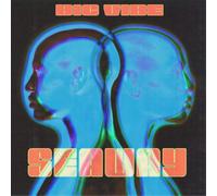 Seaway Big Vibe (Vinyl LP) 12" Album