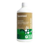 Seaweed 1 l - estratto naturale di alga pressata a freddo - Terra Aquatica by GH
