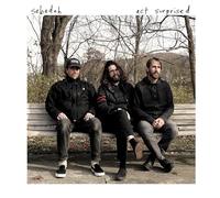 Sebadoh - Act Surprised