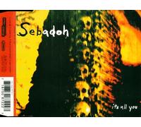 Sebadoh - It's all you