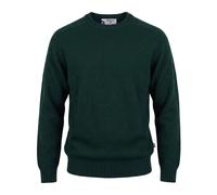 Sebago - Maglia Girocollo Gilead - - Knitwear - Uomo - Verde - L