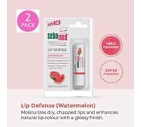 Sebamed Lip Defense Spf30 Anguria Leviga Labbra Secche E Crepate 4.8g - 2 Pacchi