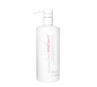 Sebastian Foundation Penetraitt Treatment Masque 500ml - maschera riparatrice