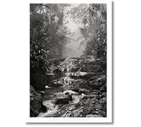Sebastião Salgado. Amazônia. Poster «Creek»