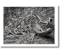 Sebastião Salgado. Amazônia. Poster «Zo'e Women»