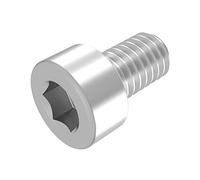 SECCARO vite a testa cilindrica M5 x 8 mm, acciaio inox V2A VA A2, DIN 912/ISO 4762, cava esagonale, completamente filettato, 20 pezzi
