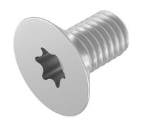 SECCARO Vite a testa svasata M2,5 x 4 mm, in acciaio inox V2A VA A2, ISO 14581, interno a sei facce (TX), filettatura completa, 20 pezzi