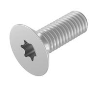 SECCARO Vite a testa svasata M2 x 6 mm, in acciaio inox V2A VA A2, ISO 14581, interno a sei facce (TX), filettatura completa, 20 pezzi