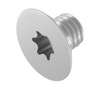 SECCARO Vite a testa svasata M3 x 4 mm, in acciaio inox V2A VA A2, ISO 14581, interno a sei facce (TX), filettatura completa, 20 pezzi