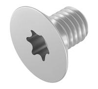 SECCARO Vite a testa svasata M4 x 6 mm, in acciaio inox V2A VA A2, ISO 14581, interno esagonale (TX), filettatura completa, 20 pezzi