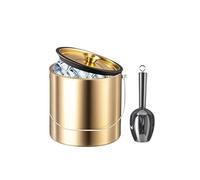 Secchiello for ghiaccio in acciaio inox a doppia parete isolato da 2/3/4 litri con coperchio e contenitore for paletta for accessori bar for cocktail champagne(3L gold)