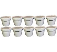 Secchio con coperchio, colore: bianco, 10 x 17 litri, impilabile, per latte/scorte, secchio per miele, in plastica adatta al contatto con alimenti, contenitori a norma alimentare, secchio vuoto per