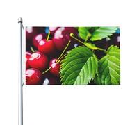 Secchio Con Pieno Di Ciliegie All'aperto Quattro Stagioni Bandiera Bifacciale Vacanza Bandiera Con Asola Sfondo Decorativo Forniture Per Il
