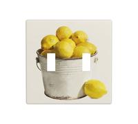 Secchio di limoni vintage retro doppia gang copertura luce interruttore parete interruttore Decor dimensioni standard - 11,4 x 11,4 cm