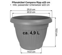 Secchio Vaso per Piante Fioriera Campana Ripp / Sottobicchieri - Anche Come Set