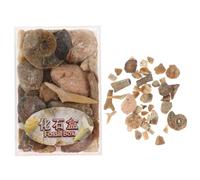 SECFOU Campioni di Minerali Fossili e Rocce Sintetiche per Decorazione Domestica e Didattica, Colore Assortito, Materiale Sintetico, e Insegnanti