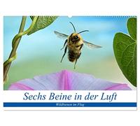 Sechs Beine in der Luft - Wildbienen im Flug (Wandkalender 2026 DIN A2 quer), CALVENDO Monatskalender: Bilder von fliegenden Wildbienen