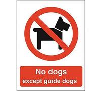 Seco Cartello "No Dogs Except Guide Dogs", 150 mm x 200 mm - 1 mm, in plastica semi rigida