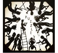 Second Hand Orchestra Puzzle (Vinyl LP) 12" Album