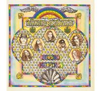 Second Helping - Lynyrd Skynyrd (Vinile)